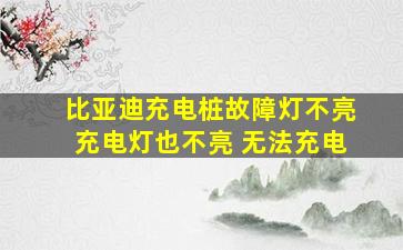 比亚迪充电桩故障灯不亮充电灯也不亮 无法充电